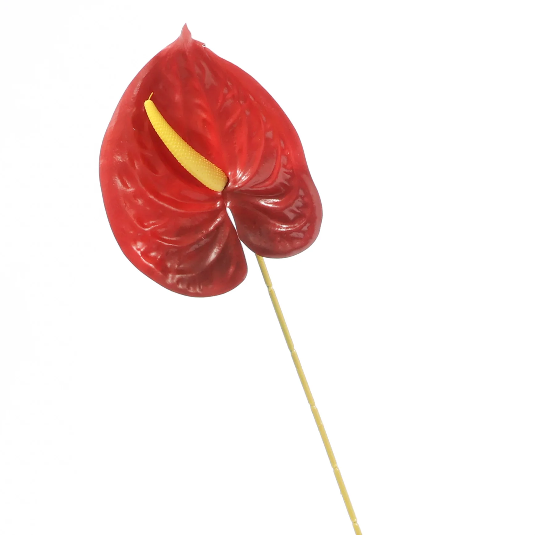 Wholesale Wedding Supplies